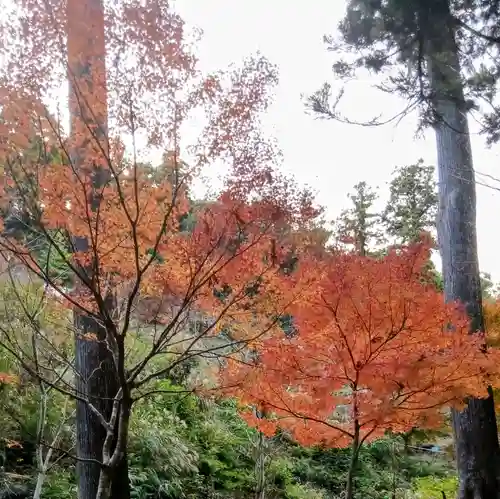 方廣寺(静岡県)