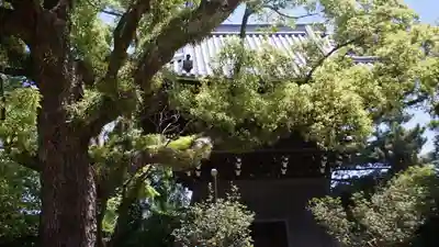 昆陽寺(兵庫県)