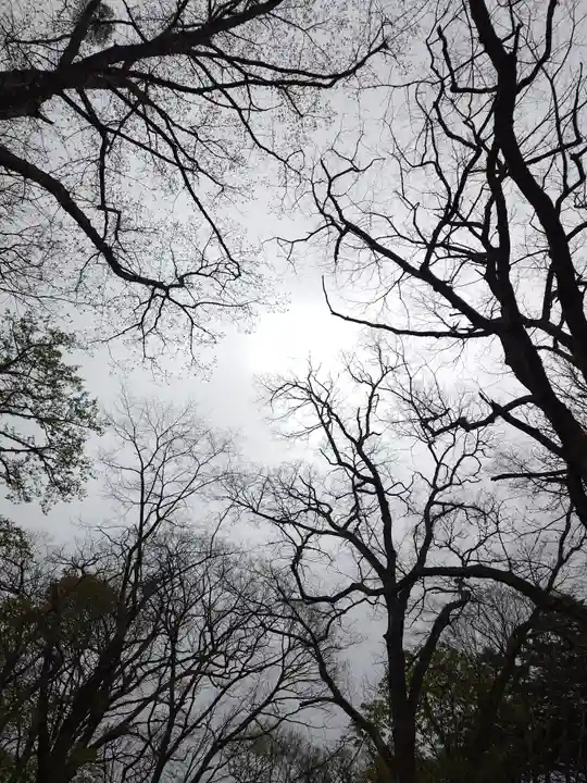 戸隠神社九頭龍社(長野県)
