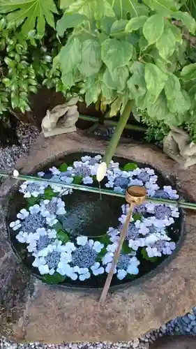 東京羽田 穴守稲荷神社の手水