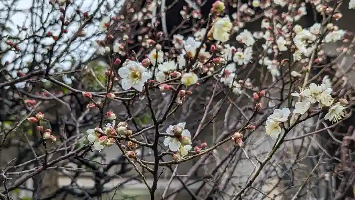 水火天満宮(京都府)