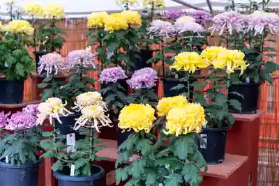 生島足島神社(長野県)