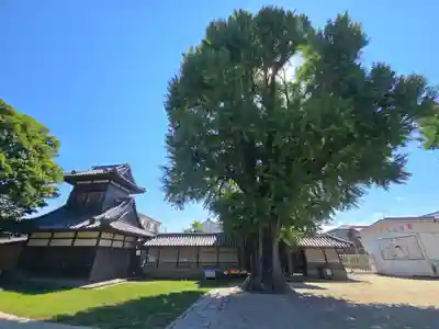 本願寺日高別院(和歌山県)