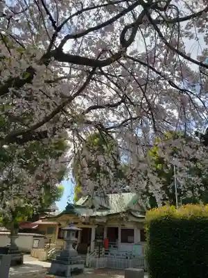 荻窪白山神社(東京都)