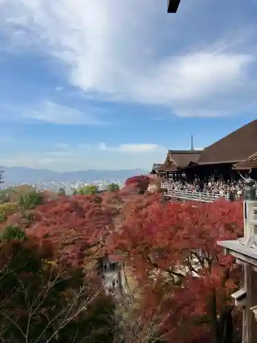 清水寺(京都府)