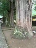 河口浅間神社(山梨県)