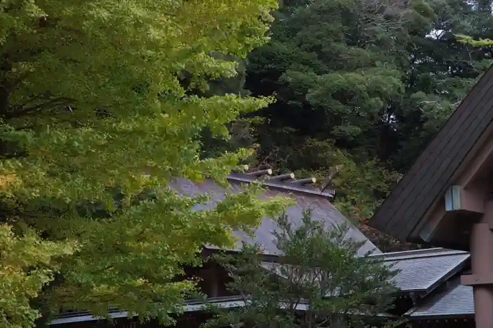 安房神社(千葉県)