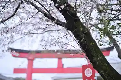 白笹稲荷神社(神奈川県)