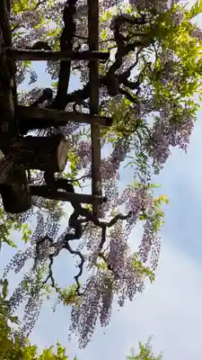 春日大社(奈良県)