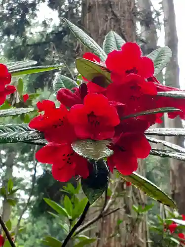 御岩神社(茨城県)