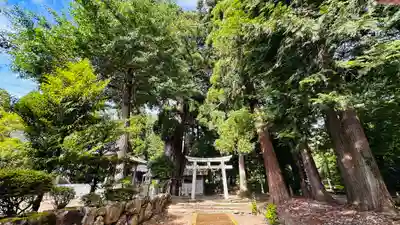 加茂神社(福井県)