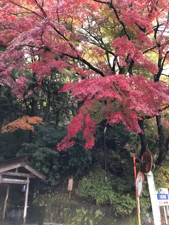 水澤寺(水澤観世音)の自然