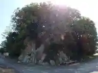 小門神社の自然