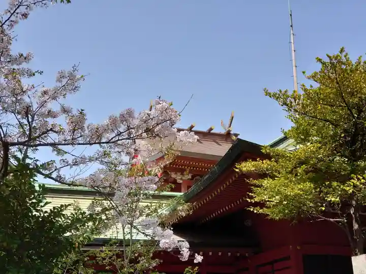 (芝生)浅間神社の本殿・本堂