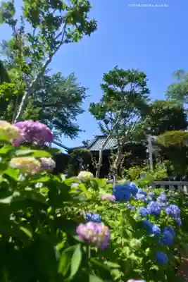 白山神社(東京都)