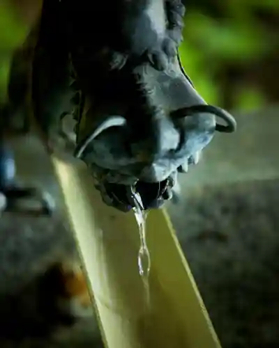 戸隠神社宝光社(長野県)