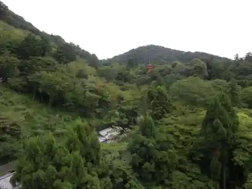 清水寺の景色