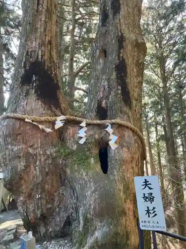 玉置神社の{uncategorized: "未分類", other: "その他", undefined: "問題あり", building: "その他建物", grave: "お墓", sacred_gate: "鳥居", guardian: "狛犬", statue: "像", buddha: "仏像", history: "歴史", nature: "自然", garden: "庭園", animal: "動物", pagoda: "塔", temizu: "手水舎", mountain_gate: "山門・神門", sanctuary: "本殿・本堂", subordinate: "末社・摂社", art: "芸術", scenery: "景色", jizo: "地蔵", ema: "絵馬", goshuin: "御朱印", omikuji: "おみくじ", items: "授与品その他", amulet: "お守り", goshuincho: "御朱印帳", eats: "食事", festival: "お祭り", votive_dance: "神楽", shichigosan: "七五三参", wedding: "結婚式", experience: "体験その他", initially: "初詣", around: "周辺", anti_infection: "感染症対策"}