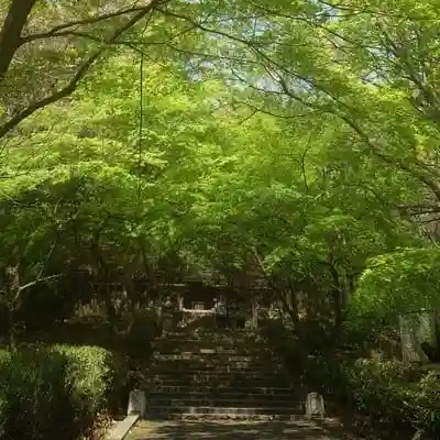 篠ｹ谷神社の建物その他