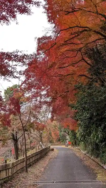 観音寺(山崎聖天)(京都府)