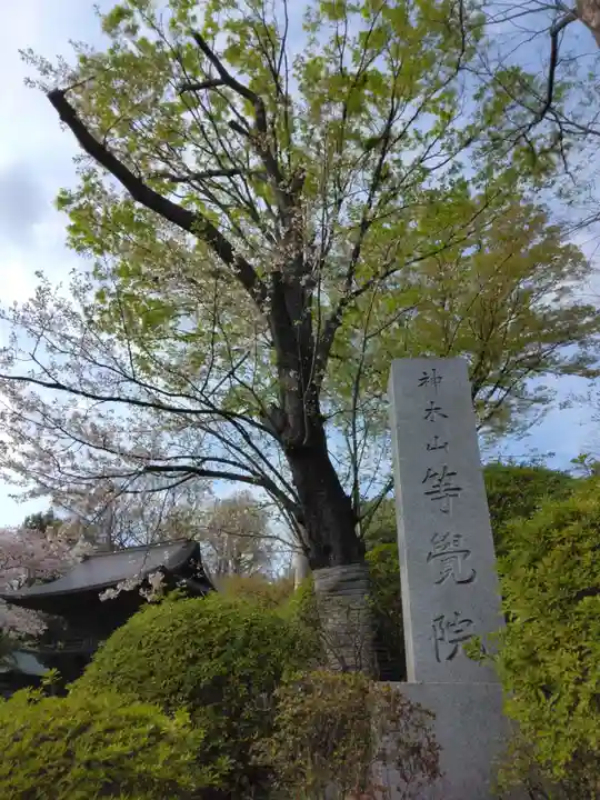 等覚院(神奈川県)