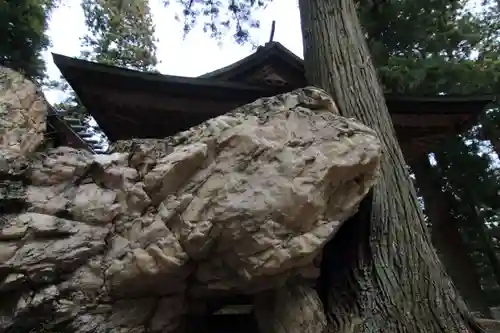 鹿島大神宮の自然
