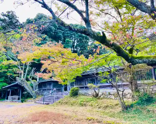 園城寺（三井寺）の建物その他