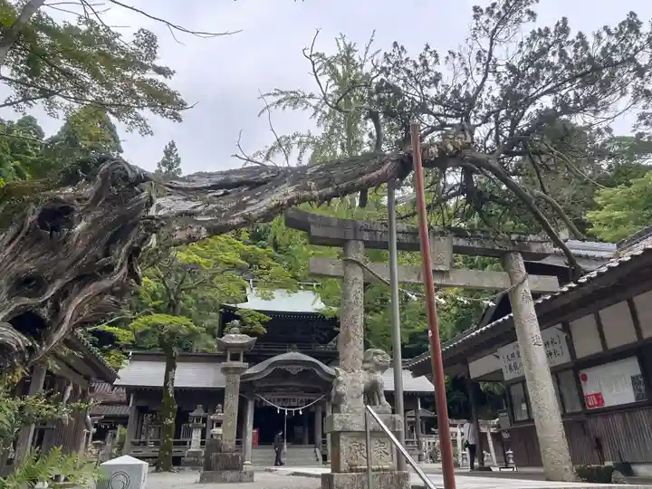 飛龍八幡宮(山口県)