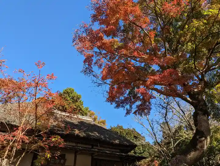 浄智寺(神奈川県)