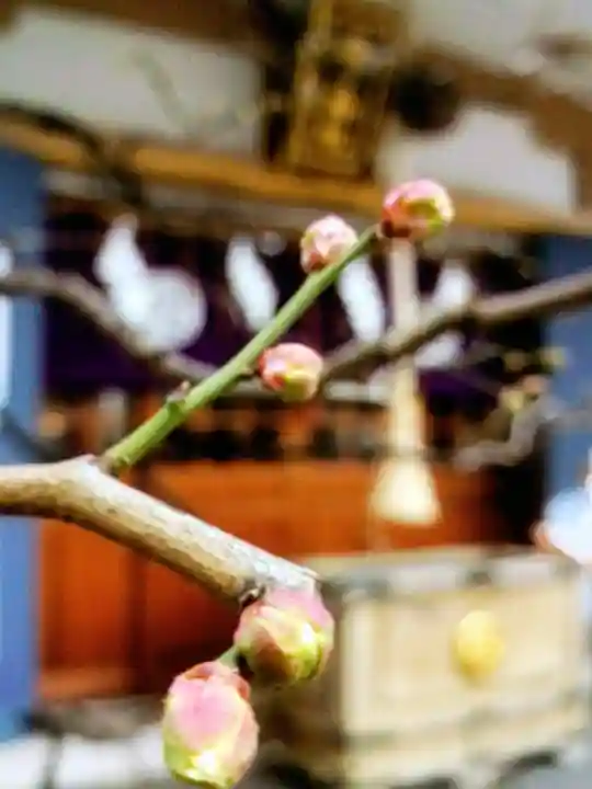 穏田神社(東京都)