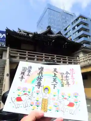 圓珠寺の花まつり限定御朱印