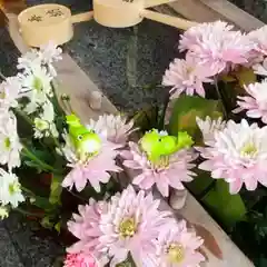 彌彦神社　(伊夜日子神社)(北海道)