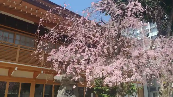 櫛田神社の自然