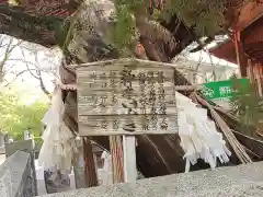 高砂神社の歴史