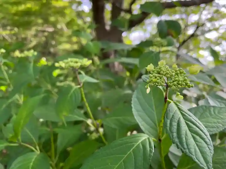 石清水八幡宮(京都府)