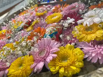 金井神社の手水舎