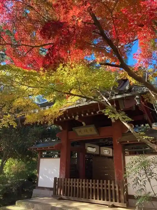 本土寺(千葉県)
