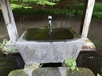 赤城神社(三夜沢町)の手水舎
