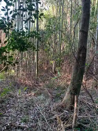 大歳神社の周辺