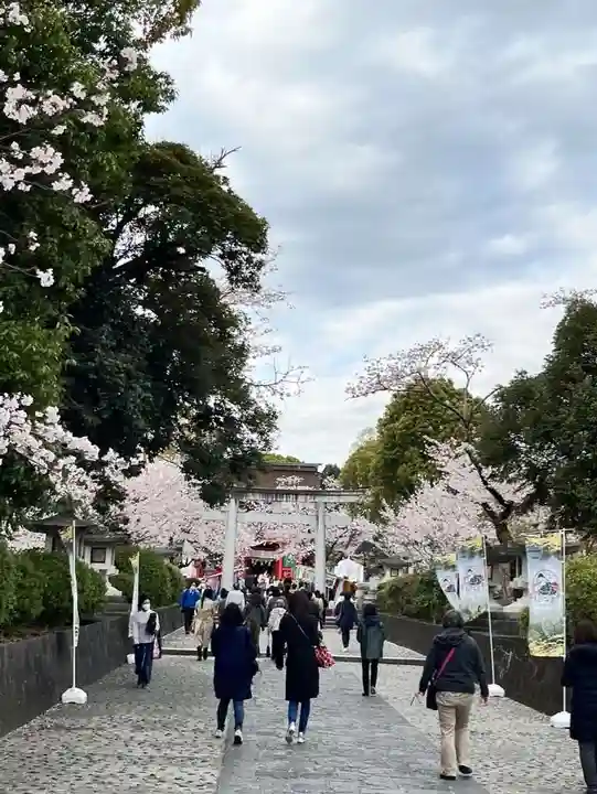 富士山本宮浅間大社(静岡県)