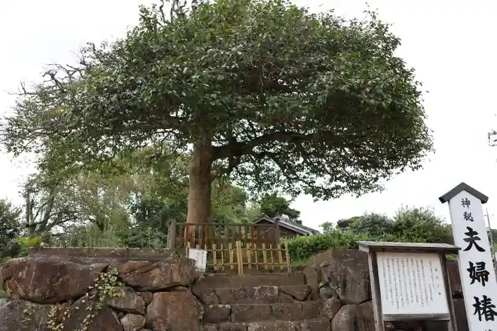 八重垣神社(島根県)