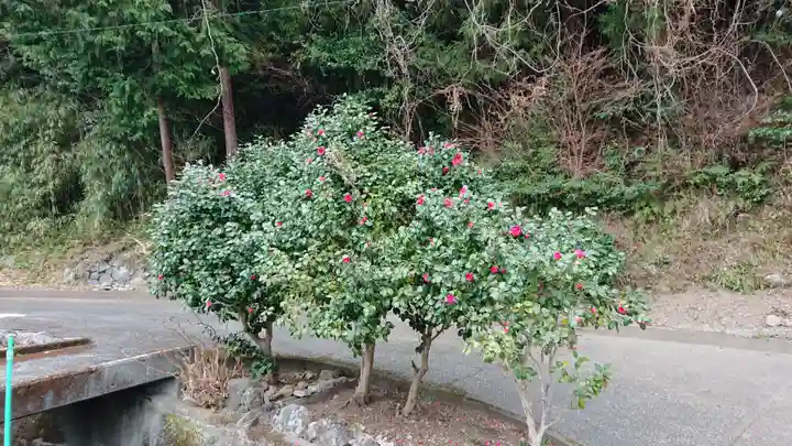 熊沢権現神社の自然