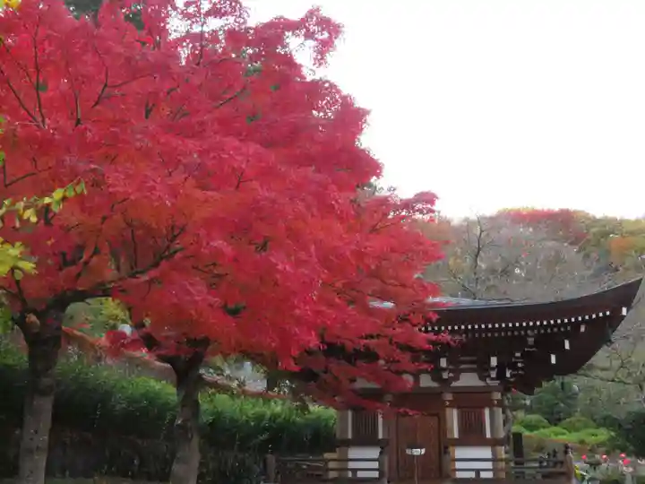 法蔵寺(福島県)