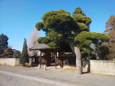 遍照寺の山門・神門