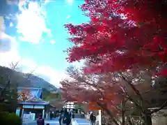 天龍寺の建物その他