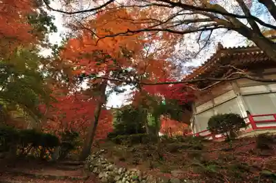 西山興隆寺(愛媛県)