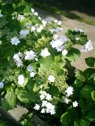 御霊神社の自然