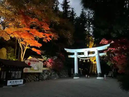 宝登山神社の{uncategorized: "未分類", other: "その他", undefined: "問題あり", building: "その他建物", grave: "お墓", sacred_gate: "鳥居", guardian: "狛犬", statue: "像", buddha: "仏像", history: "歴史", nature: "自然", garden: "庭園", animal: "動物", pagoda: "塔", temizu: "手水舎", mountain_gate: "山門・神門", sanctuary: "本殿・本堂", subordinate: "末社・摂社", art: "芸術", scenery: "景色", jizo: "地蔵", ema: "絵馬", goshuin: "御朱印", omikuji: "おみくじ", items: "授与品その他", amulet: "お守り", goshuincho: "御朱印帳", eats: "食事", festival: "お祭り", votive_dance: "神楽", shichigosan: "七五三参", wedding: "結婚式", experience: "体験その他", initially: "初詣", around: "周辺", anti_infection: "感染症対策"}