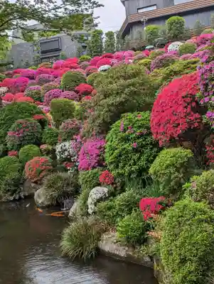 根津神社(東京都)