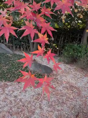 高円寺(東京都)